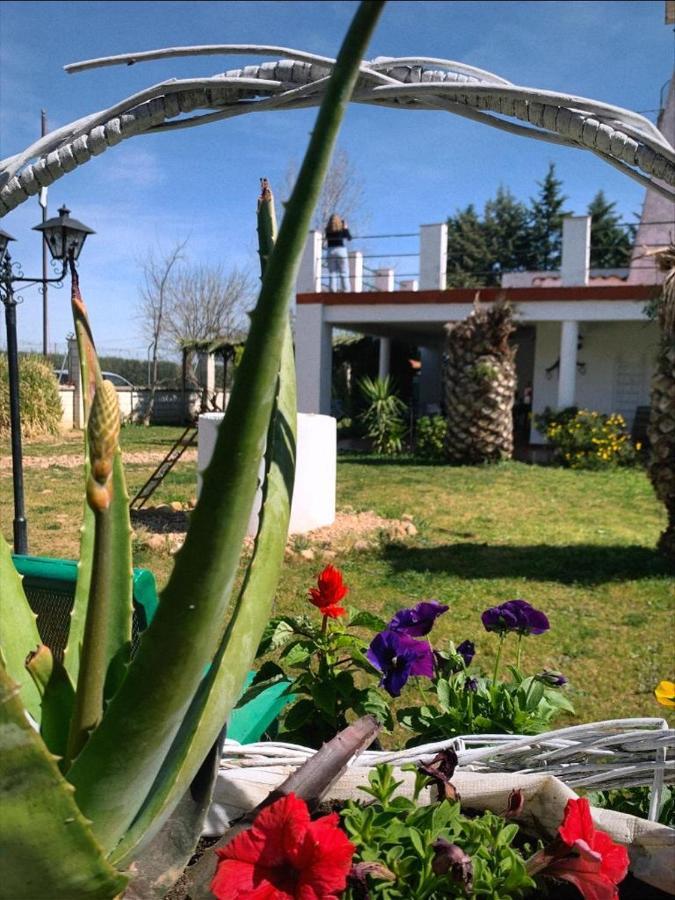باداخوز Hotel Rural Villa Torreaguila المظهر الخارجي الصورة